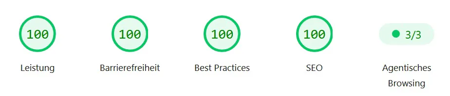 Google-Lighthouse-Ergebnis dieser Website: 100 Punkte in Leistung, Barrierefreiheit, Best Practices und SEO